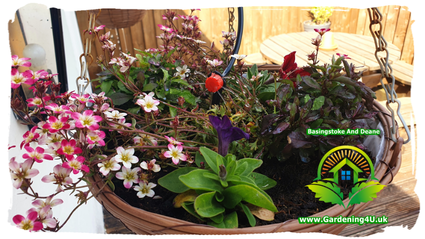 Gardening Gardener Landscaping Basingstoke and Dean gardening 4u