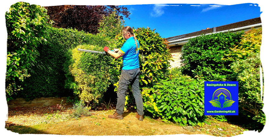 Gardening Gardener Landscaping Basingstoke and Dean Gardening Gardener Landscaping Basingstoke and Dean