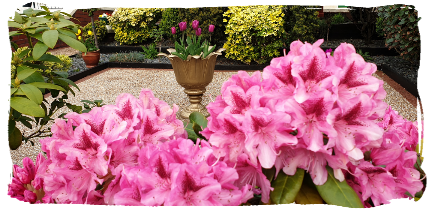 gardening 4u, basingstoke gardening, basingstoke gardener, landscape basingstoke, shrub pruning, planting plants basingstoke, mowing grass basingstoke, Zbigniew Jeruzal. service gardening basingstoke, pressure washing Basingstoke