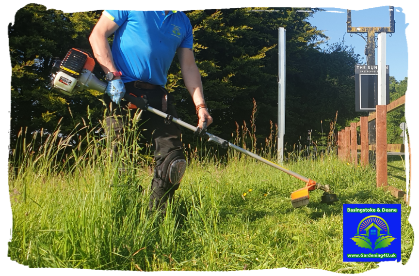 basingstoke gardening, basingstoke gardener, landscape basingstoke, shrub pruning, planting plants basingstoke, mowing grass basingstoke, Zbigniew Jeruzal. service gardening basingstoke, pressure washing Basingstoke gardening 4u